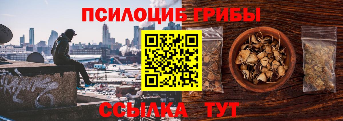 Галлюциногенные грибы Cubensis Горно-Алтайск